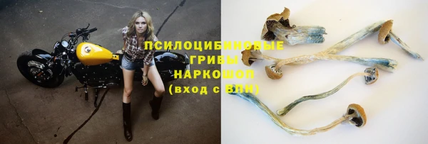 каннабис Абаза