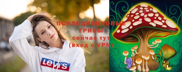 дурь Абдулино
